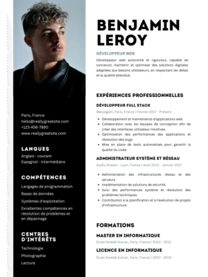 Professional Resume FY