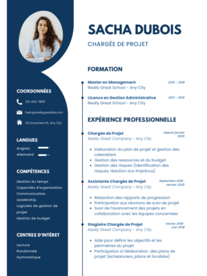 Professional Resume FBN
