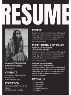Professional CV  Template LM