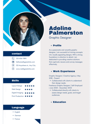 Professional CV  Template BE