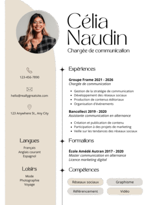 Professional CV  Template FE