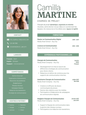 Professional CV  Template FE
