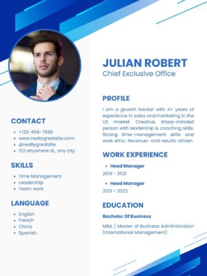 Professional CV  Template TL
