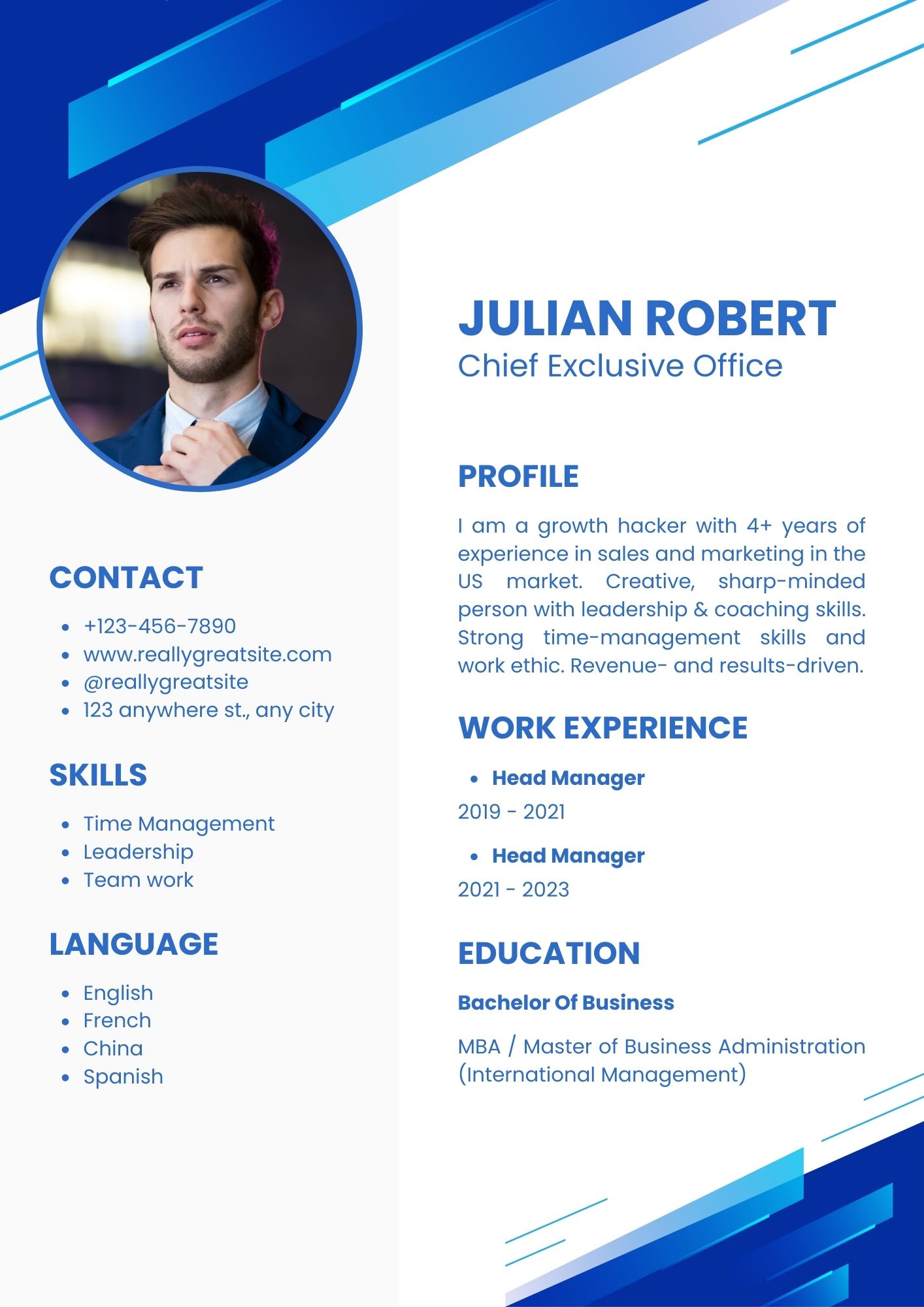 Professional CV Template TL